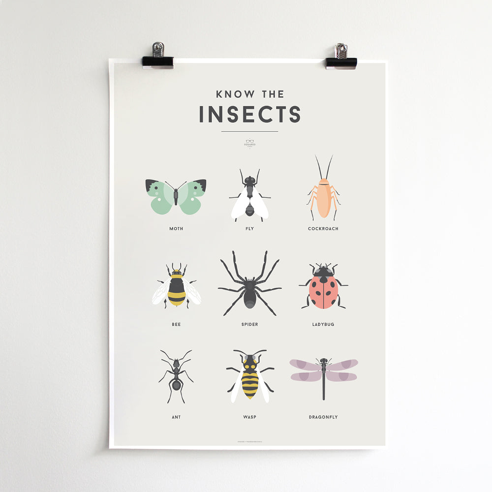 Us State Insects Poster Know the Insects - Children's Educational Poster - Squared Charts ...